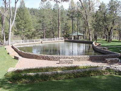 Payson cabin rental - Pond in front of Cabin